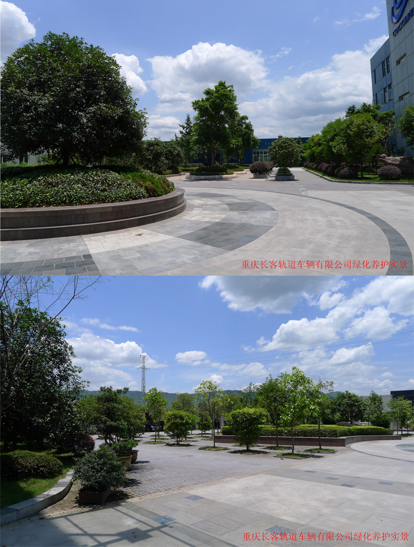 重慶長客軌道車輛有限公司廠區(qū)綠化養(yǎng)護實景
