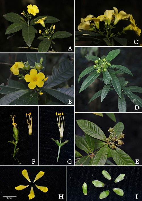 1504840530214814.jpg 81.jpg