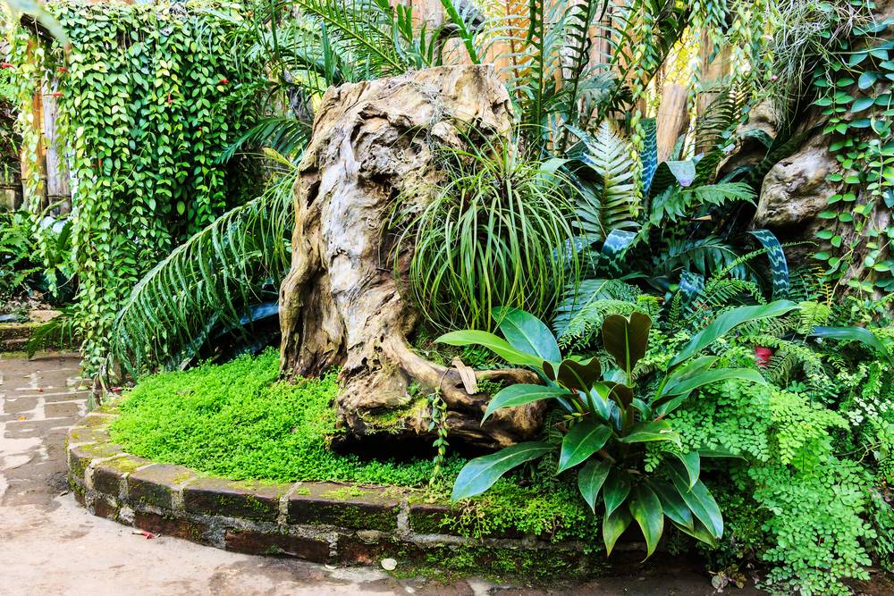 1504852662982157.jpg 93.jpg