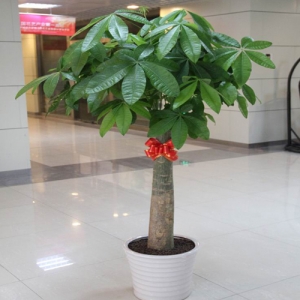 1557306682105698.jpg zzzz.jpg