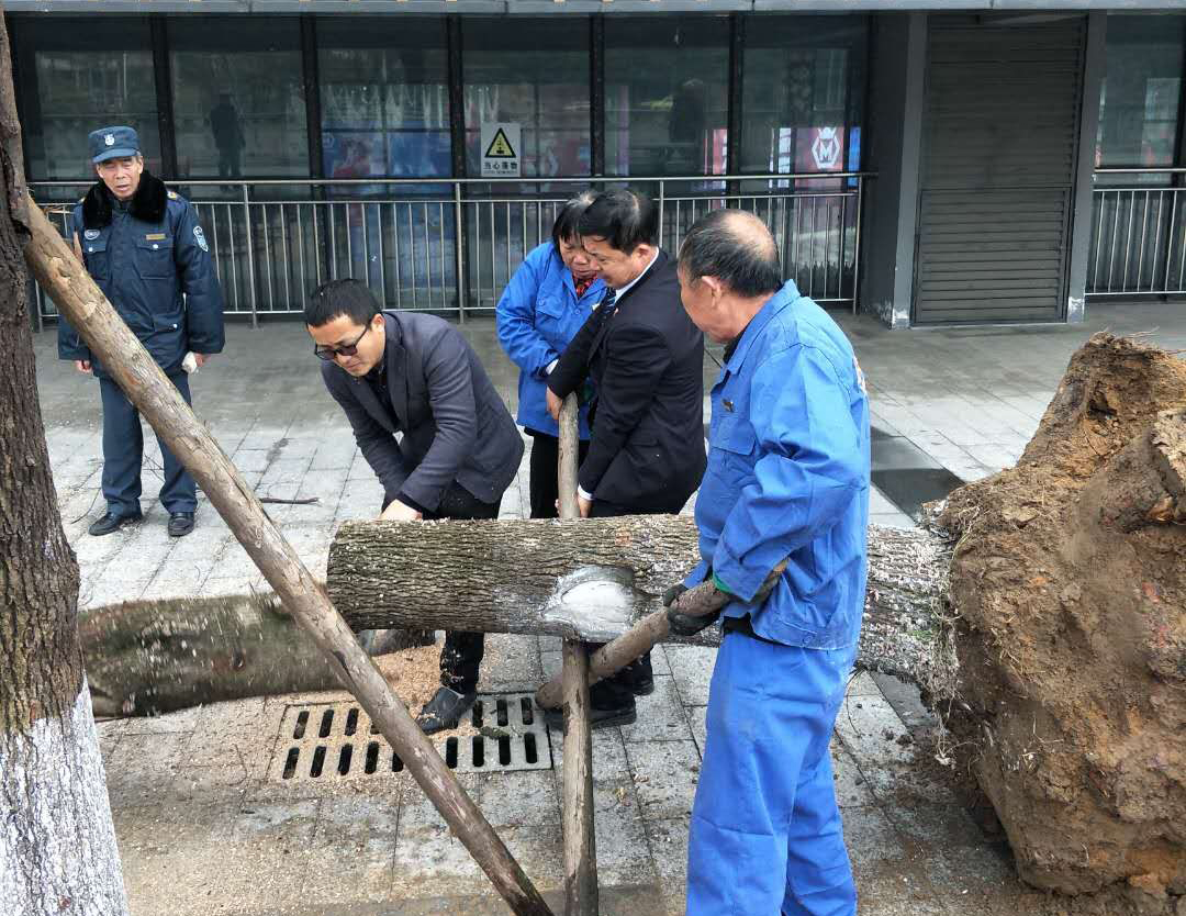 1557485418343092.jpg 00000000001d9.jpg