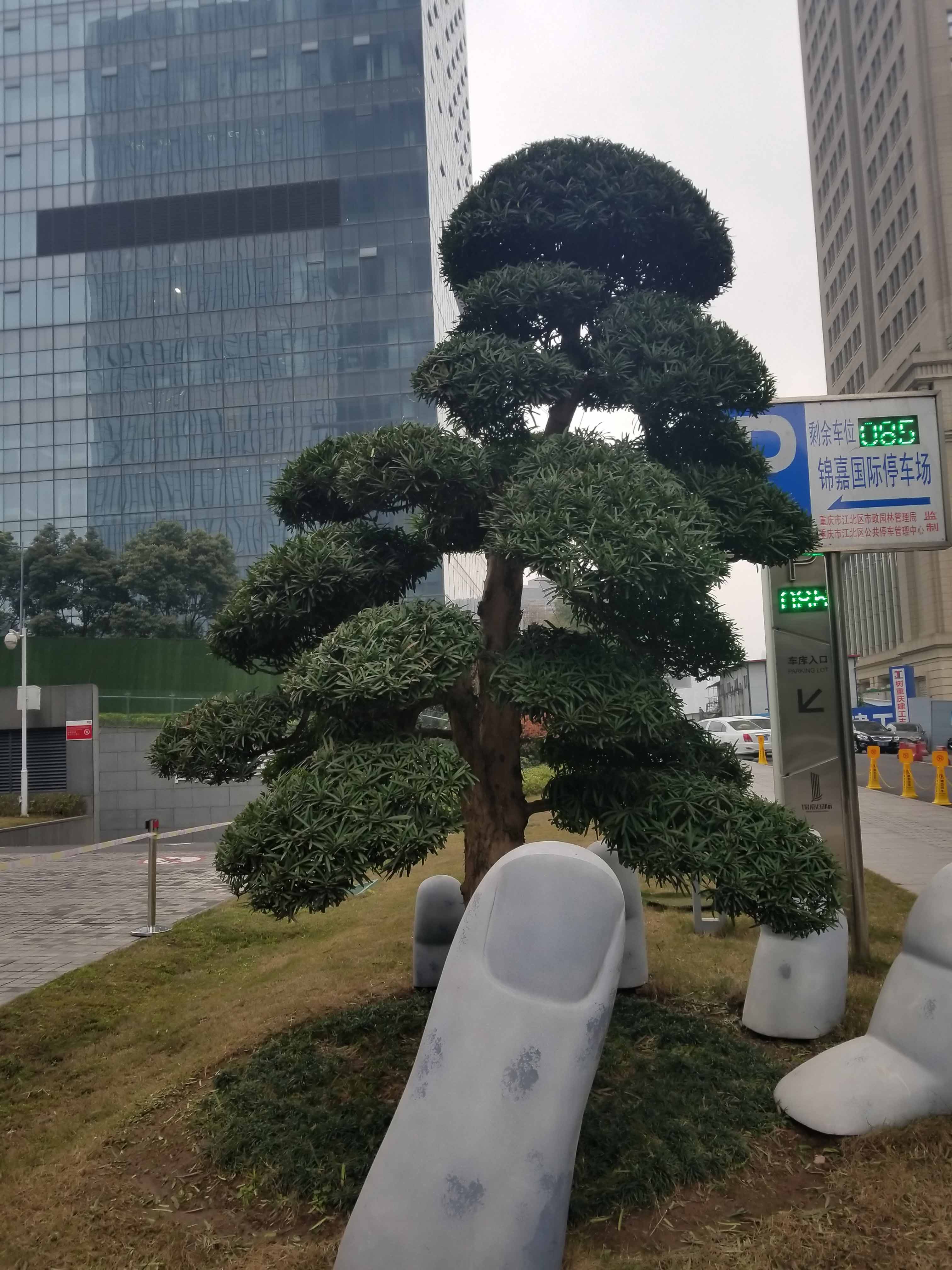 1557485543658429.jpg 000008759.jpg